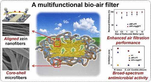 Tug-of-War-Inspired Bio-Based Air Filters with Advanced Filtration Performance.Tug-of-War-Inspired Bio-Based Air Filters with Advanced Filtration Performance.