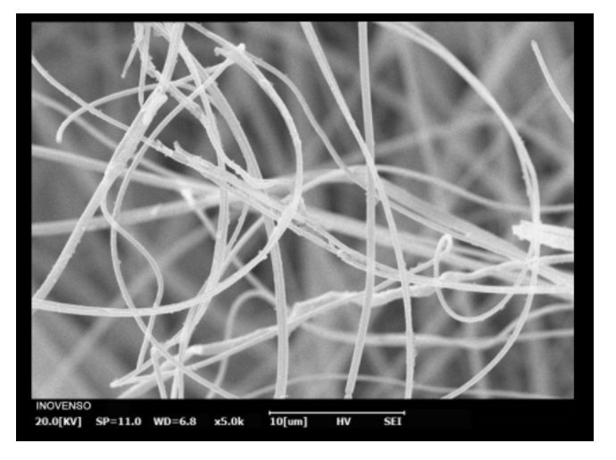 Electrospun tree-like nanofiber membrane: Fabrication and applications for air and water treatments