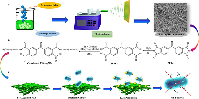 Electrospun antibacterial poly(vinyl alcohol)/Ag nanoparticles membrane grafted with 3,3 ',4,4 '-benzophenone tetracarboxylic acid for efficient air filtration