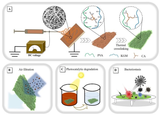 Ecofriendly Electrospun Membranes Loaded with Visible-Light Responding Nanoparticles for Multifunctional Usages: Highly Efficient Air Filtration, Dye Scavenging, and Bactericidal Activity