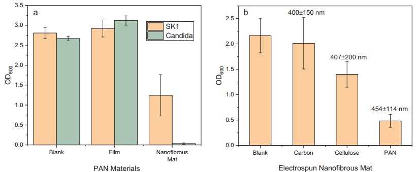 Polyacrylonitrile nanofibrous mat from electrospinning: Born with potential anti-fungal functionality