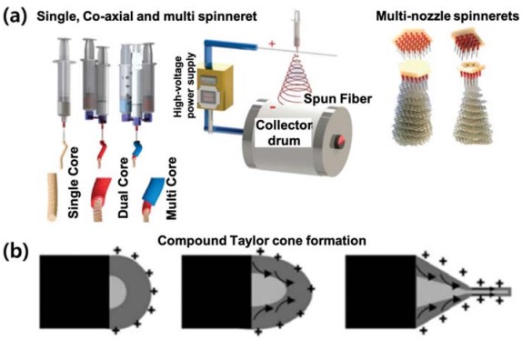 Electrospun nanofiber filters for highly efficient PM2.5 capture