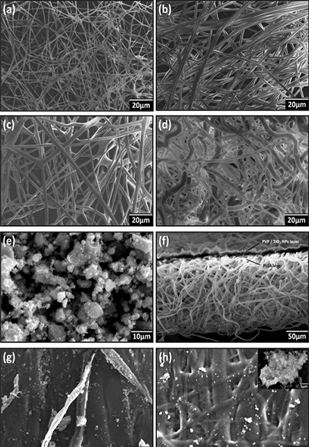 Development of a Two-Tier Fibrous Membrane by Sequential Electrospinning for Effective Air Filtration