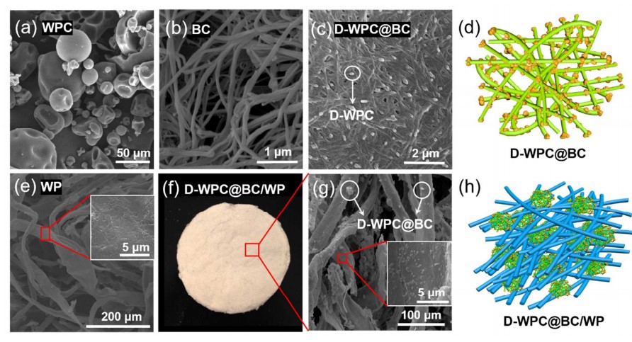 A Nanoprotein-Functionalized Hierarchical Composite Air Filter