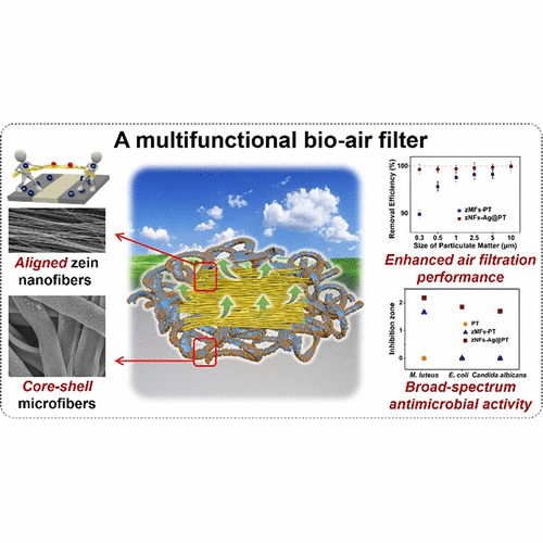 How it Fabricate Bio-Based Air Filters with Advanced Performance