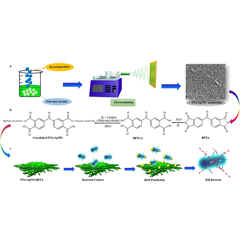 Electrospun antibacterial poly(vinyl alcohol)/Ag nanoparticles membrane grafted with 3,3 ',4,4 '-benzophenone tetracarboxylic acid for efficient air filtration