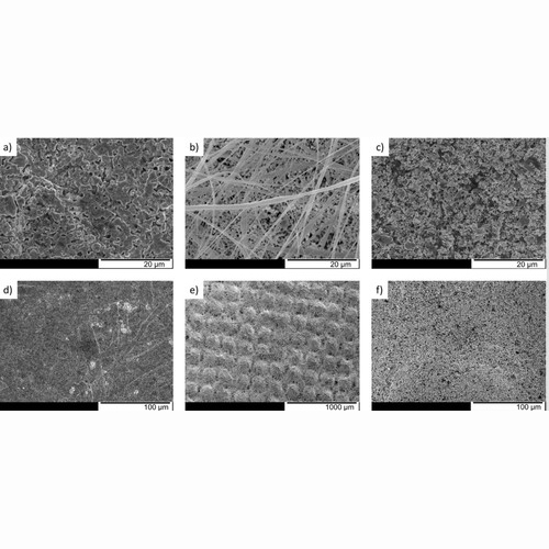 Improvement of Oxygen-Depolarized Cathodes in Highly Alkaline Media by Electrospinning of Poly(vinylidene fluoride) Barrier Layers