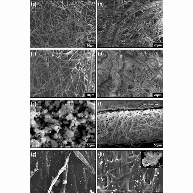 Development of a Two-Tier Fibrous Membrane by Sequential Electrospinning for Effective Air Filtration