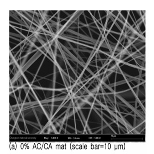 Study on Electrospun Activated Carbon Mats for the Filtration of Particulate Matter and Volatile Organic Compound in the Air