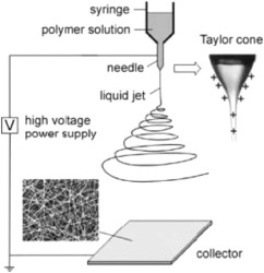 Recent developments in nanofiber-based sensors for disease detection, immunosensing, and monitoring